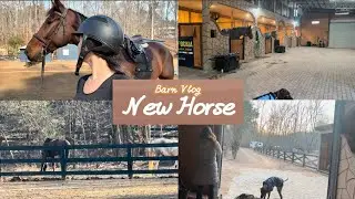 Preparing for a new horse’s arrival!! 