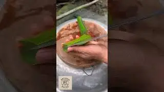 Как получают гель алоэ вера #Artisan Pulse