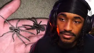 Dont Let Other People's Fears Stop You