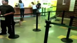 Funny Stroller Kid
