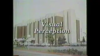 Understanding Human Behavior - Visual Perception (Ep, 10 of 30)