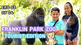 Franklin Park Zoo - Boston