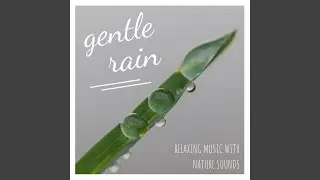 Pure Ambient