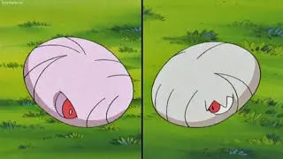 May's Wurmple evolves into Silcoon & Jessie's Wurmple evolutions into Cascoon