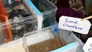 Grey Water Recycling models