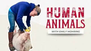Hooves, Heart, and Humane Care: Revolutionizing Pig Wellness with Emily Mohring