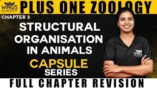 STRUCTURAL ORGANISATION IN ANIMALS | PLUS ONE ZOOLOGY | CHAPTER 3 | CAPSULE SERIES |