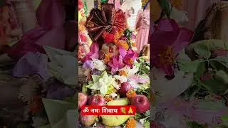 Har Har Mahadev ll Jai Mahakal ll श्री सिद्धेश्वर महादेव जी।। #trending #ytshorts #shorts