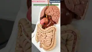 How Constipation Blocks the Colon Lumen | Human Anatomy | Digestive System | Stomach AI Art | 29