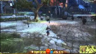 GW2 Ranger Pet Locations - Pig