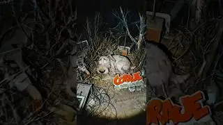 cartoon network shows #cartoon#90scartoons #fnaf #ai