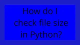 How do I check file size in Python?