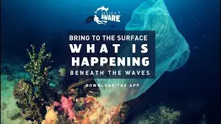 Scuba Diving Reef Cleanup Florida Keys Project Aware