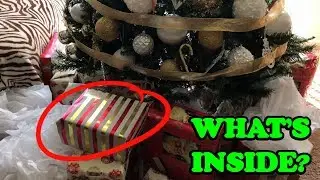 STEALING POKEMON CARDS FROM CHRISTMAS PRESENTS!