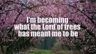 Tree Song sung by Evie Karlsson (with Lyrics)
