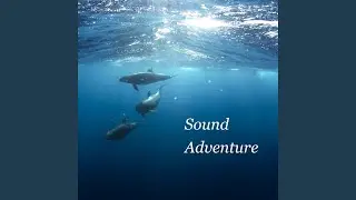 Warrior (Chillout Remix)