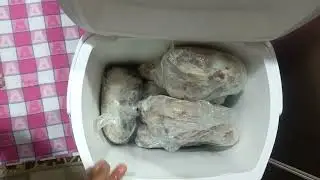 تجهيزات وجبات المصيف وسر استخدام البرسيم فى تبريد المجمدات