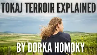 Tokaj Terroir Explained by Dorka Homoky | Wine Ghosts Podcast Ep. 46.