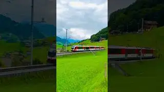 Switzerland 🇨🇭 beautiful nature #switzerland #travel #swiss #swisstravelguide #ddlj