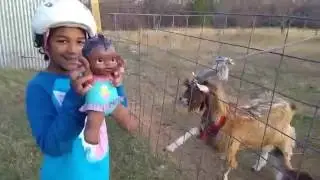 Baby Alive Twins Go to the FARM!