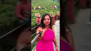 রাবাংলা গিয়ে ঘুরলাম বুদ্ধ মন্দির, টি গার্ডেন 🏞️🧿😊