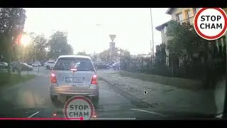 Owieczki drogowe - wieści niesamowite