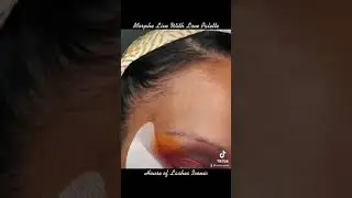 Morphe Live With Love Eyeshadow Look