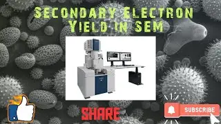 Secondary Electron Yield (&delta;) in Scanning Electron Microscope (SEM)