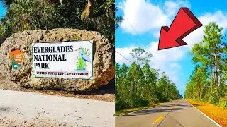 Everglades National Park Florida Driving Tour