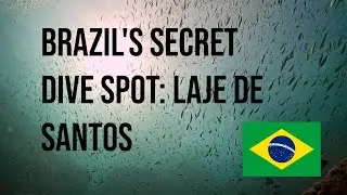 Brazil's secret dive spot: Laje de Santos
