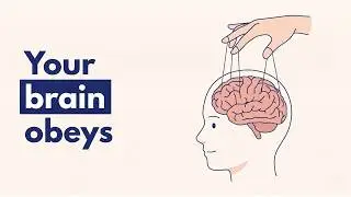 Why Your Brain Falls for Manipulation Every Day