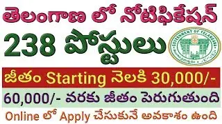 Telangana 238 Posts Recruitment Notification 2018 | TSPSC Notification for Pharmacists | job search