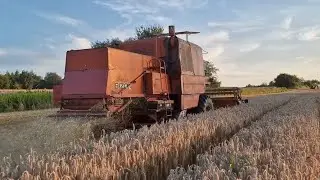 Żniwa Krzemienica 2023 ,Tucano 420, 6155m 6230 c360p c330 zetor10111 Bizon Claas68/85 - Podkarpacie