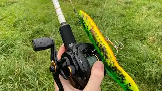 A Weekend Of Fishing