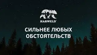 ПУ сапоги 