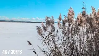 [Google Pixel 10 Pro XL] Camera Test 4K 30 FPS Cozy Winter Lake Scenery