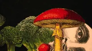Collage Animation 2014