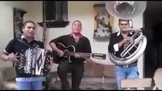 BESOS Y CARICIAS ZEKTOR ALTERADO