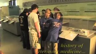 Hall of Veterinary Health