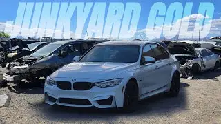 Searching The Junkyard For BMW Parts... I Hit The Jackpot!