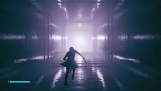 Control Flamingo walkthrough 2k