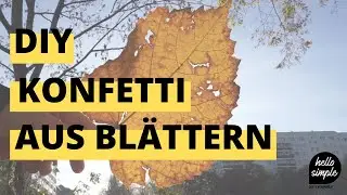 DIY Konfetti aus Bl&auml;ttern (Zero Waste) - Herbst 2020 | hello simple
