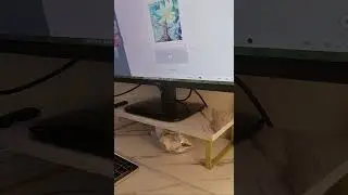 Creating a Custom Art Print as a Gift!