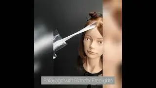 Wella Luxelights: Facial Framing + Gloss