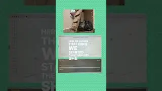Cat Diabetes