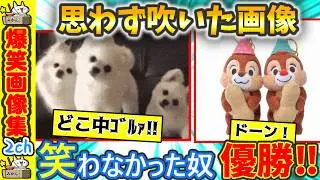 【声出たw】腹筋壊れる面白GIF見て震えて眠れ!!【2ch】