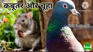 कबूतर और चूहा | Pigeon and Rat | Unity is strength |moral stories | hindi kahaniyan | cartoon