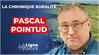 Thiers : la capitale mondiale de la coutellerie - Pascal Pointud