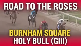 Road to the Roses: BURNHAM SQUARE in the Holy Bull (G3) Recap