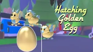Hatching Golden Egg! | Adopt Me | axlea
